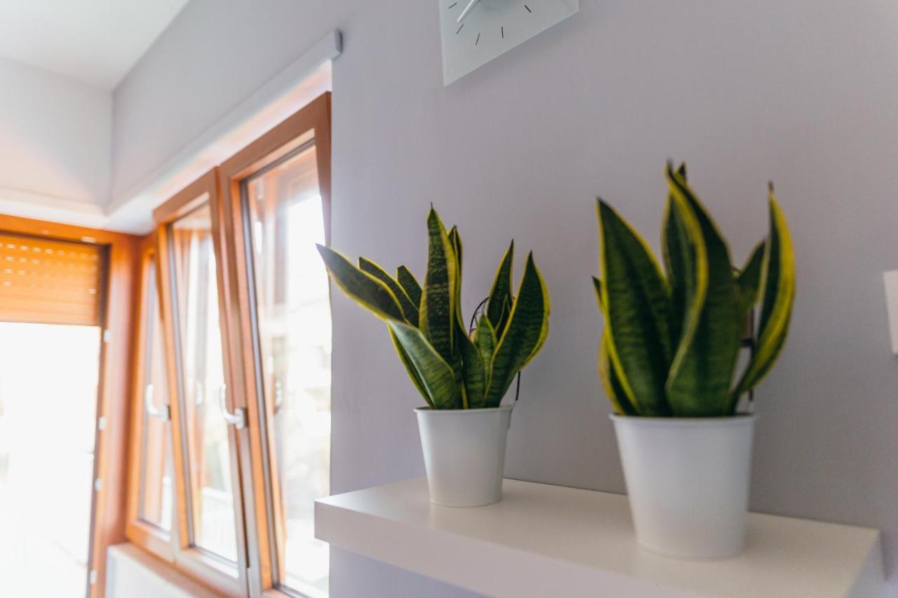 Sorrento City Apartment מראה חיצוני תמונה